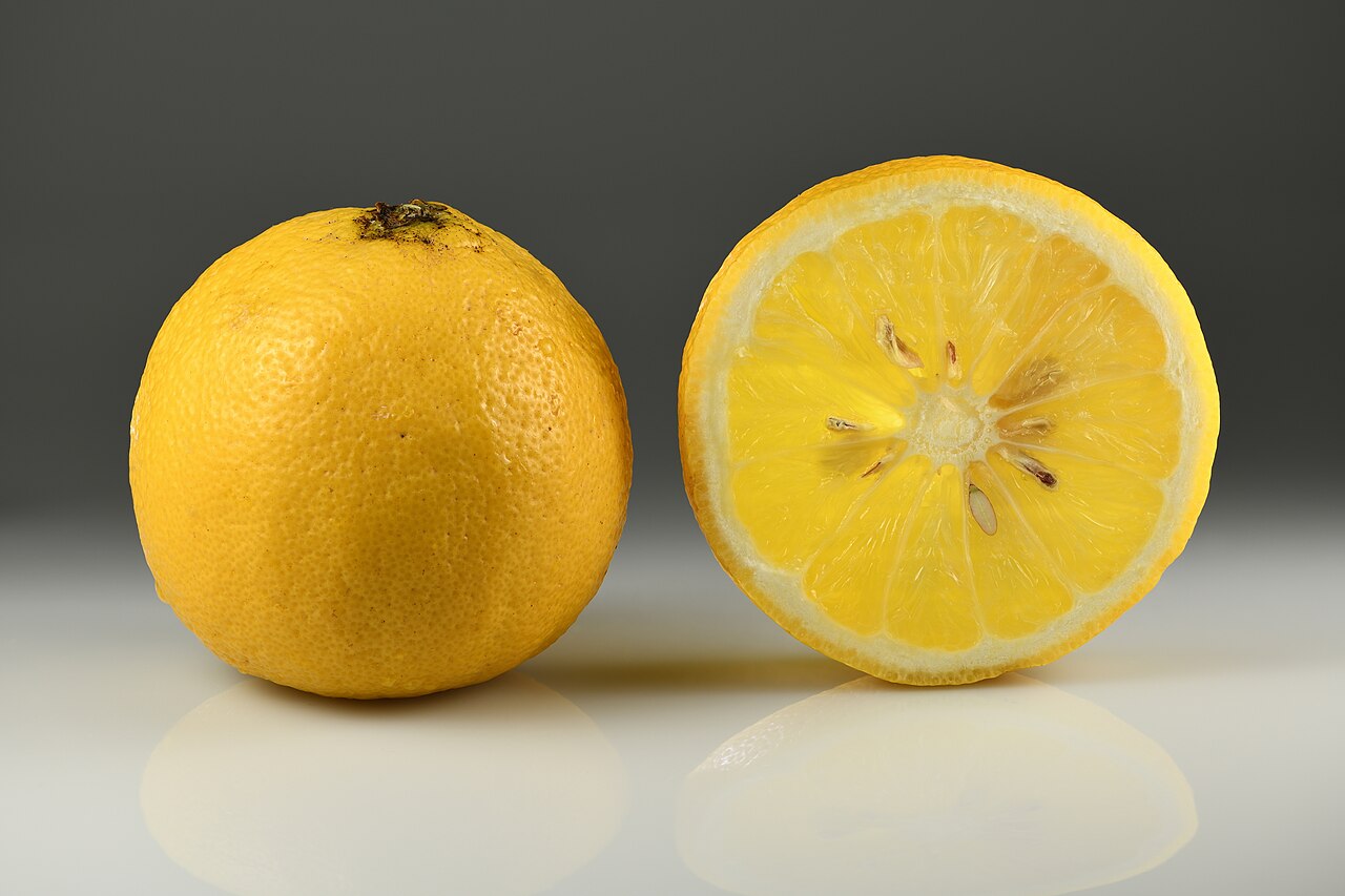 orange entière coupée